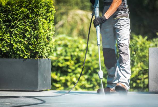 Best Roof Washing  in Colonial Pine Hills, SD