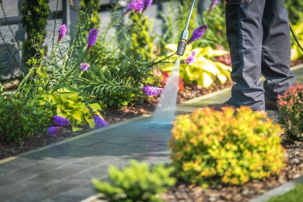 Reliable Colonial Pine Hills, SD Pressure Washing Solutions